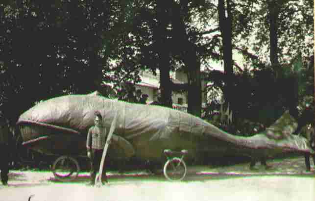 CHAR DE LA BALEINE